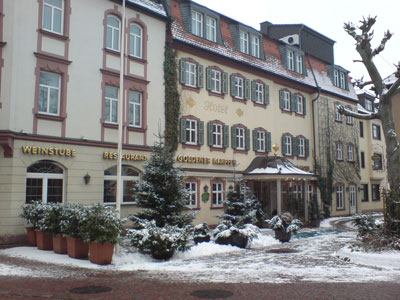 Hotel Goldener Carpfen 2009